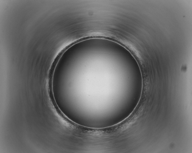 X0000094330991200711091400