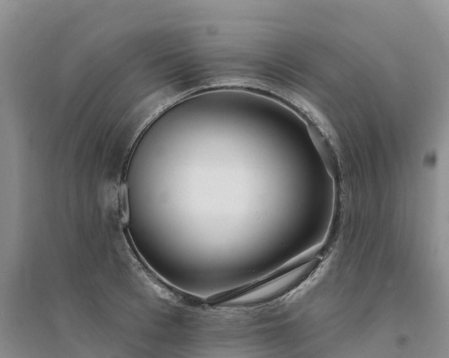 X0000094330993200711091400