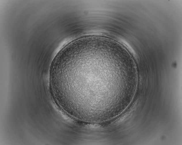 X0000094330994200711091400