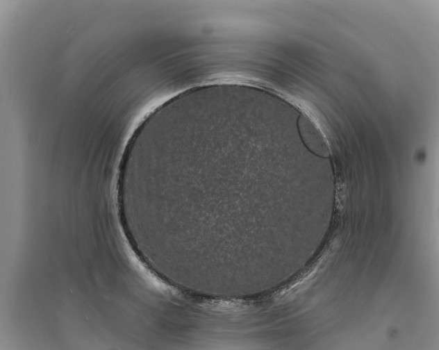 X0000094330995200711091400