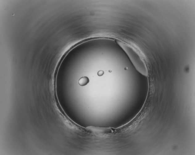 X0000094330996200711091400