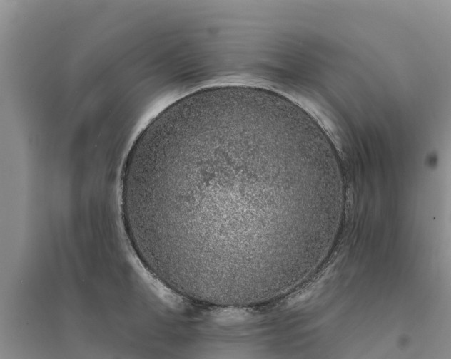 X0000094330998200711091400