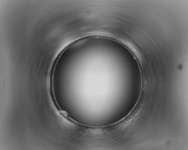 X0000094330999200711091400