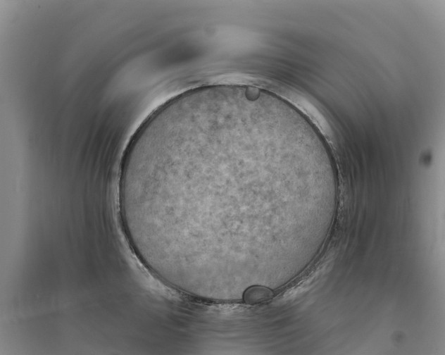 X0000094331000200711091400