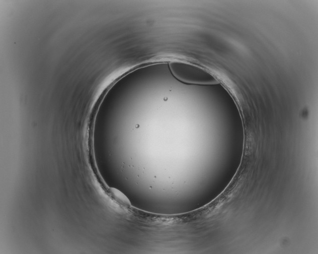 X0000094331003200711091400
