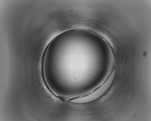 X0000094331007200711091400