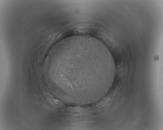 X0000094331009200711091359