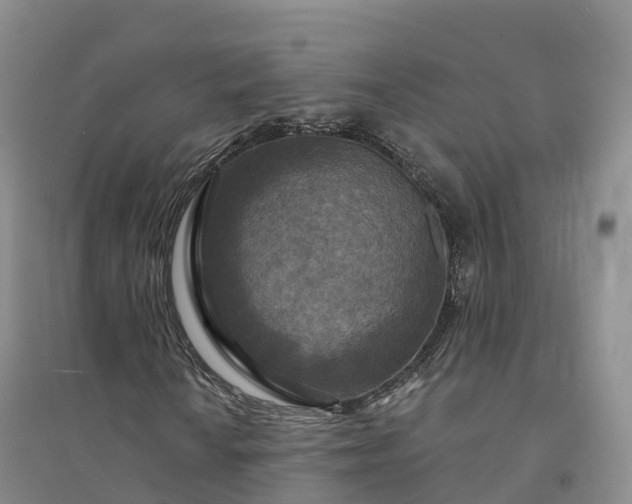 X0000094331010200711091359