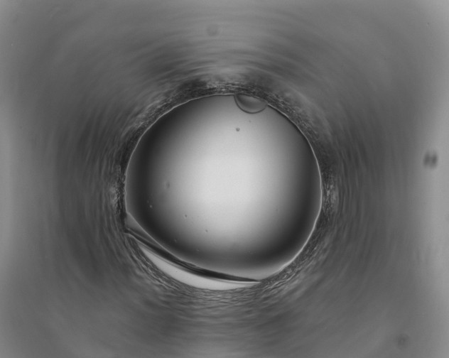 X0000094331012200711091359