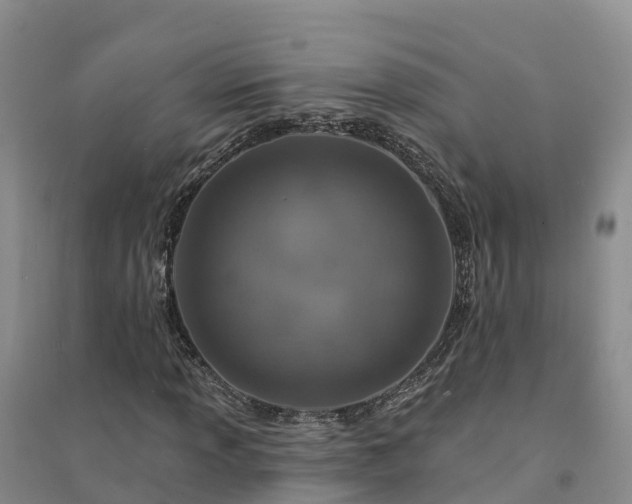 X0000094331013200711091359
