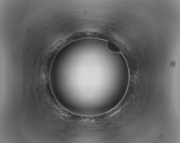 X0000094331014200711091359
