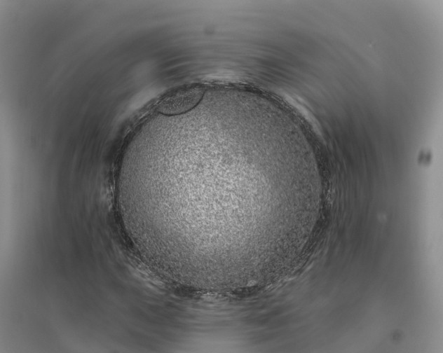 X0000094331015200711091359