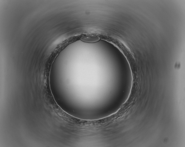 X0000094331016200711091359