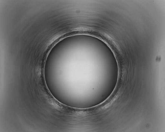X0000094331017200711091359