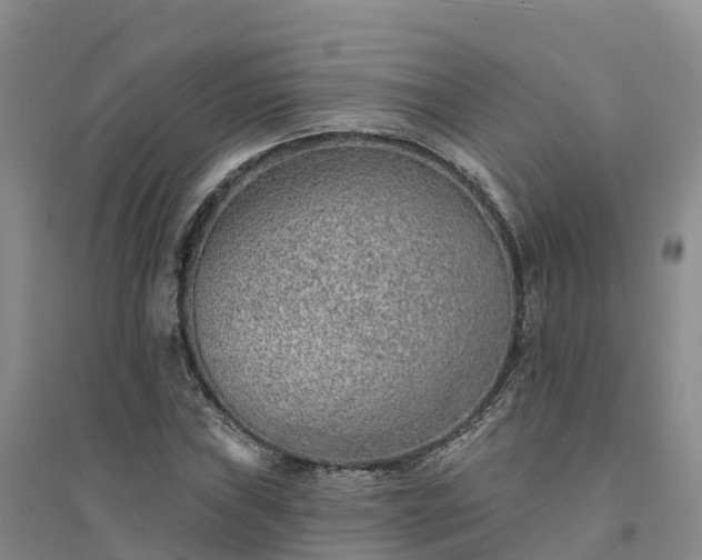 X0000094331019200711091400