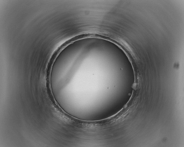 X0000094331020200711091400