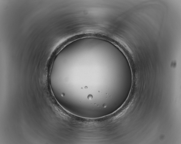 X0000094331021200711091400