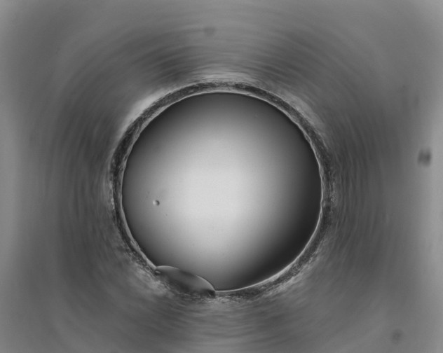 X0000094331022200711091400