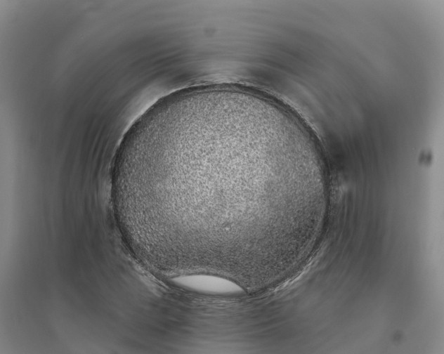 X0000094331023200711091400