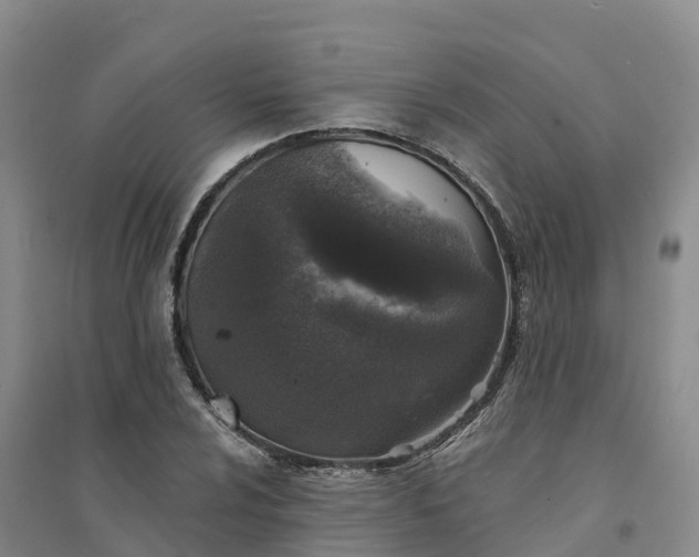 X0000094331024200711091400