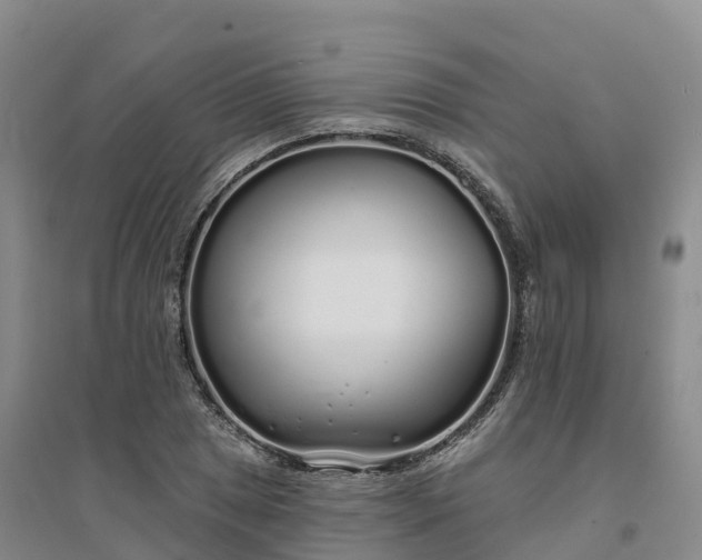 X0000094331025200711091400