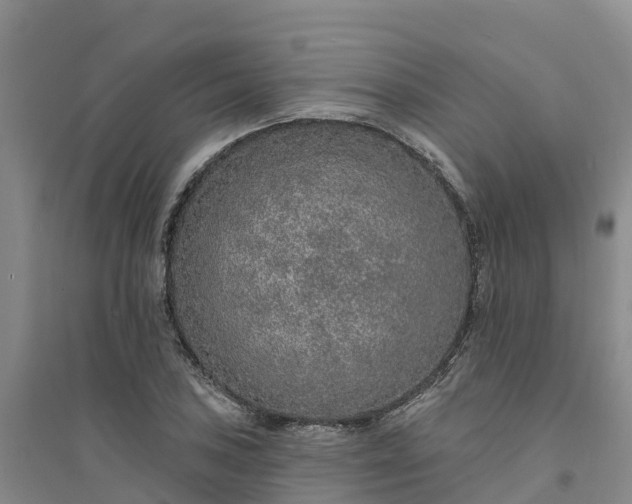 X0000094331027200711091400