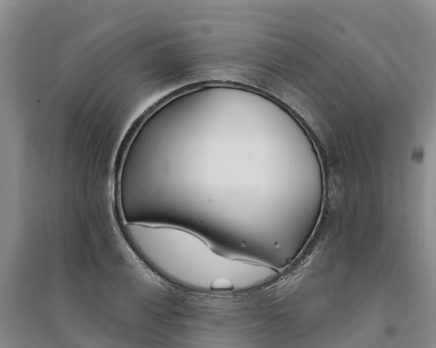 X0000094331028200711091400