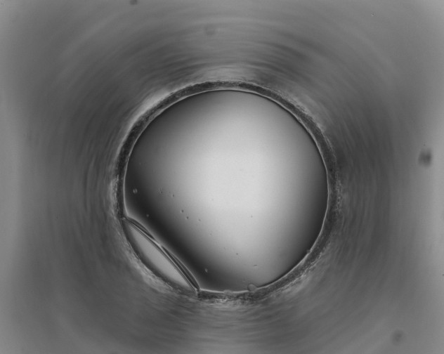 X0000094331029200711091400