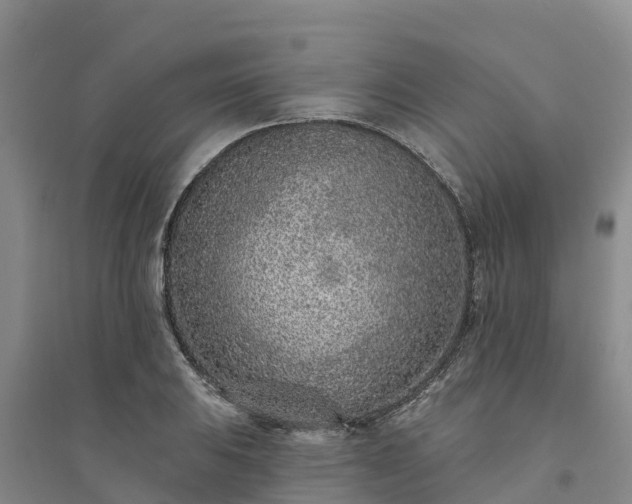 X0000094331031200711091400