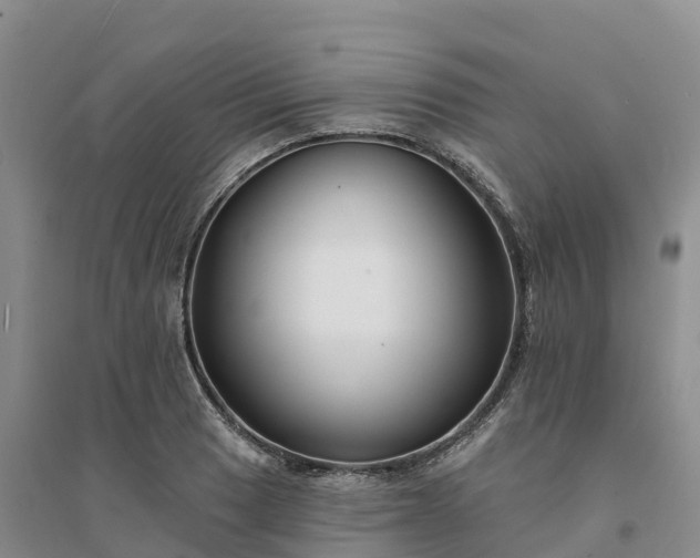 X0000094331033200711091400