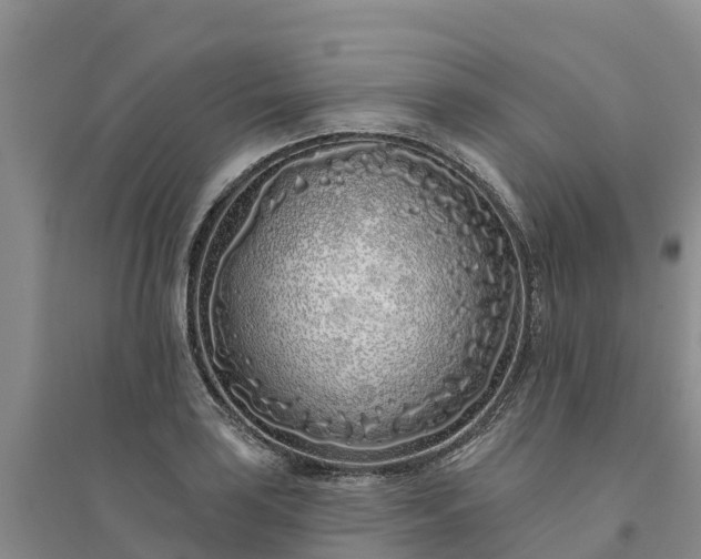X0000094331035200711091400