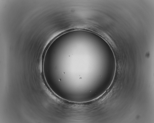 X0000094331036200711091400