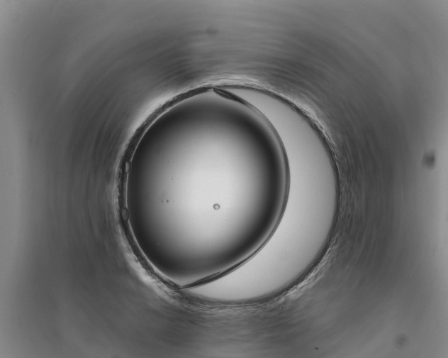 X0000094331038200711091400