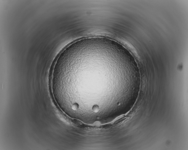 X0000094331039200711091400