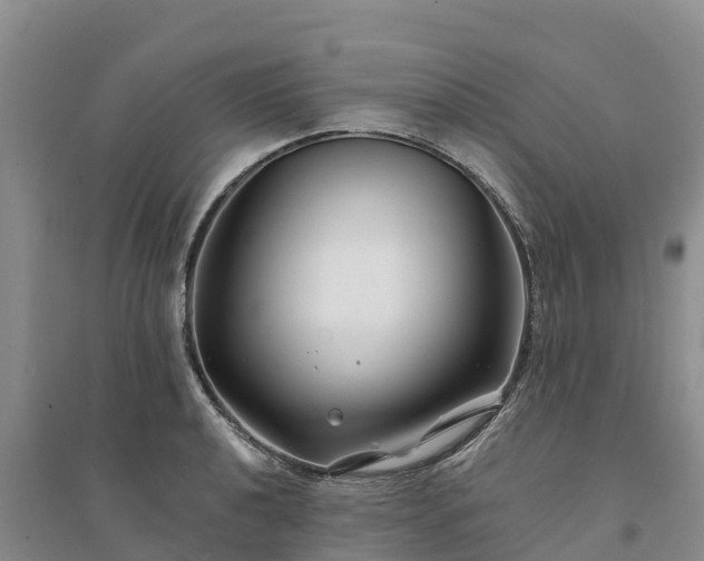 X0000094331040200711091400