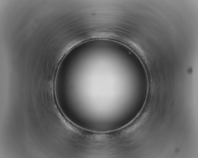 X0000094331041200711091400