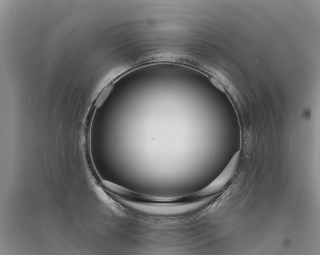 X0000094331042200711091400