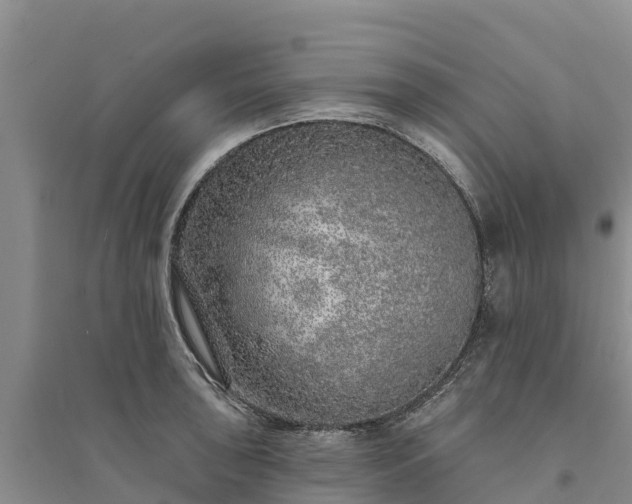 X0000094331043200711091400