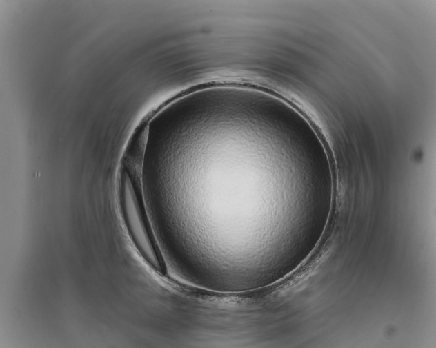 X0000094331045200711091400