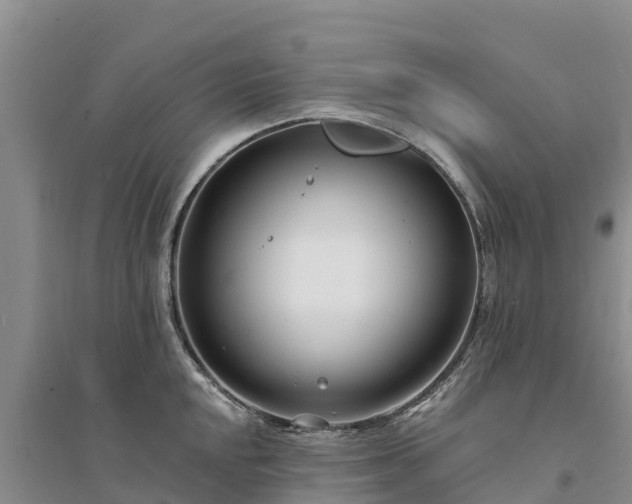X0000094331048200711091400