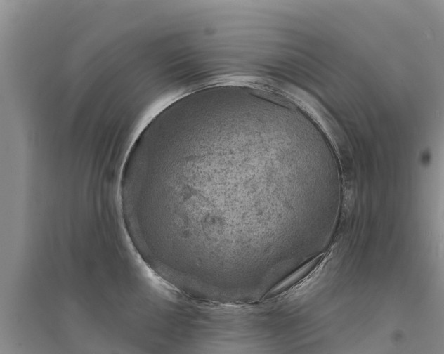 X0000094331050200711091400