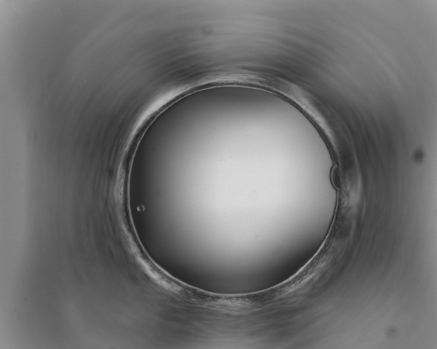 X0000094331053200711091400