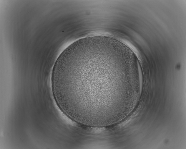 X0000094331055200711091400