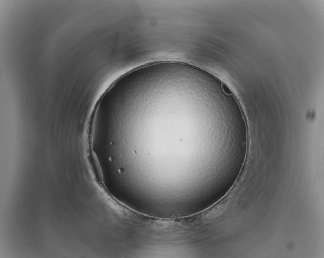 X0000094331056200711091400