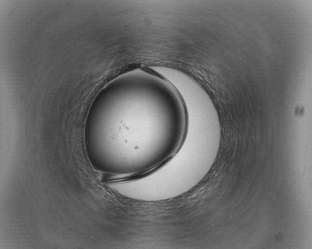 X0000094331057200711091359