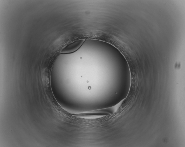 X0000094331058200711091359