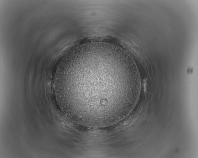 X0000094331059200711091359