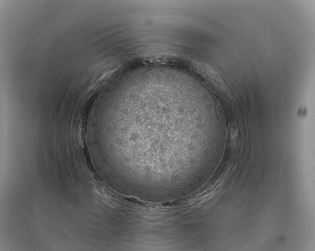 X0000094331060200711091359