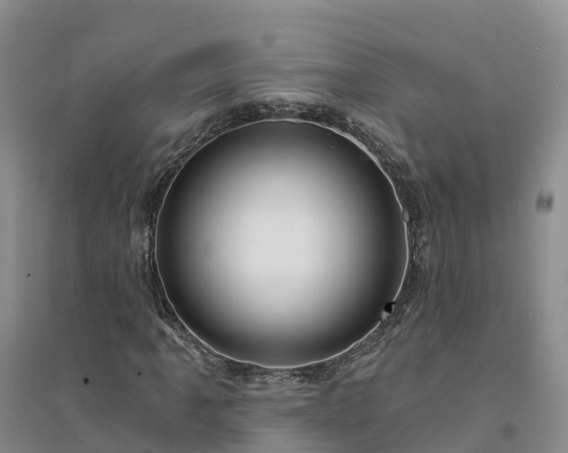 X0000094331061200711091359