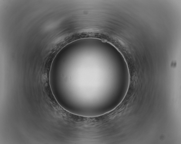 X0000094331062200711091359